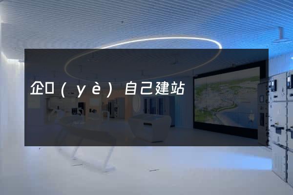 企業(yè)自己建站