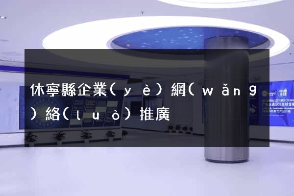 休寧縣企業(yè)網(wǎng)絡(luò)推廣