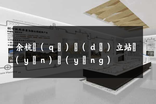 余杭區(qū)獨(dú)立站運(yùn)營(yíng)
