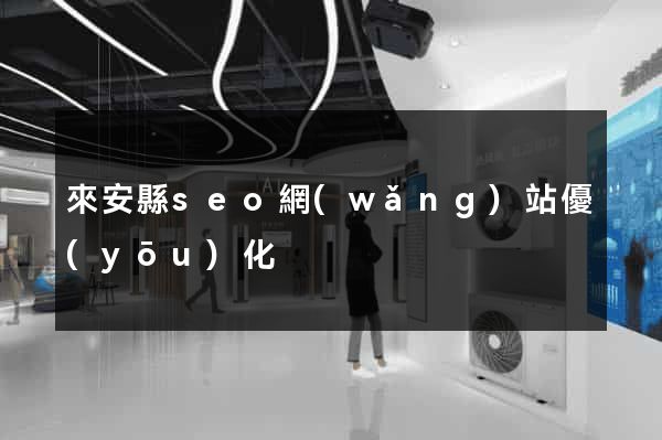 來安縣seo網(wǎng)站優(yōu)化