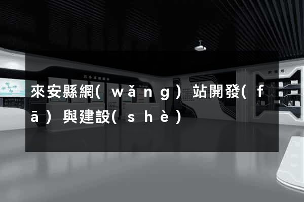 來安縣網(wǎng)站開發(fā)與建設(shè)