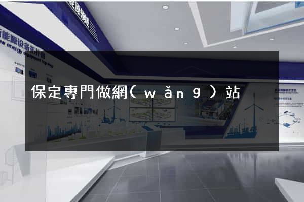 保定專門做網(wǎng)站