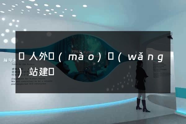 個人外貿(mào)網(wǎng)站建設