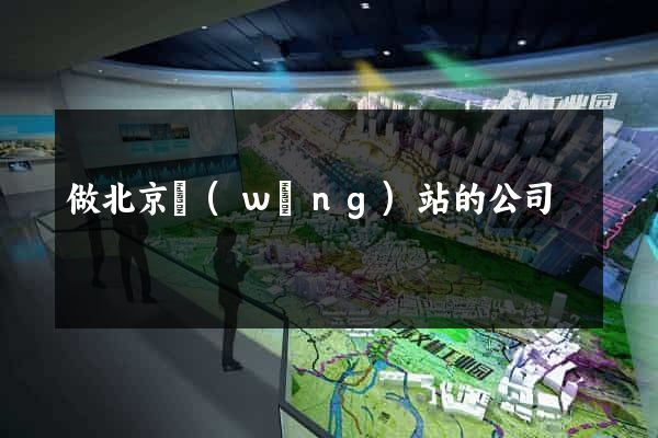 做北京網(wǎng)站的公司