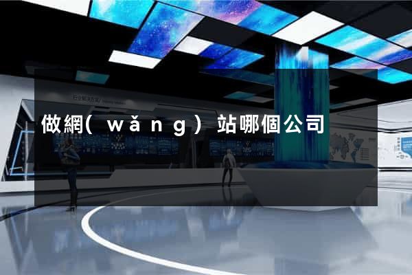 做網(wǎng)站哪個公司