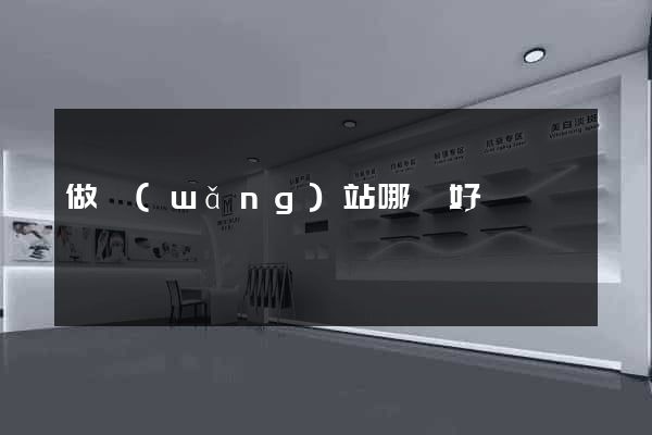 做網(wǎng)站哪個好