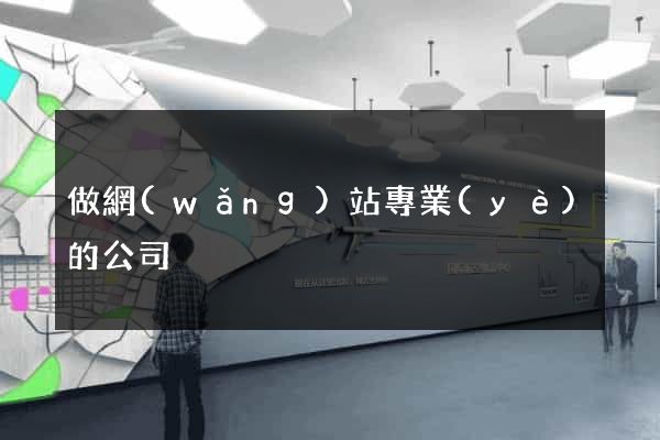 做網(wǎng)站專業(yè)的公司