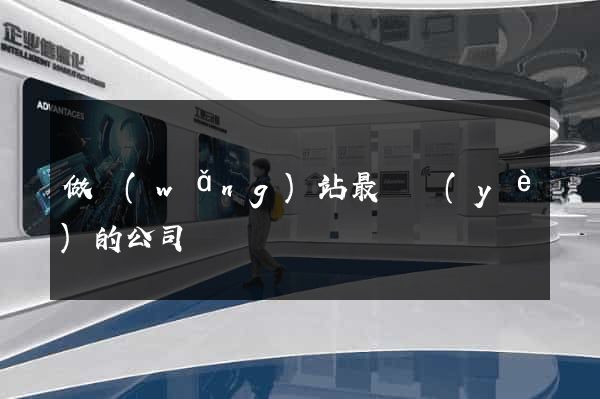 做網(wǎng)站最專業(yè)的公司