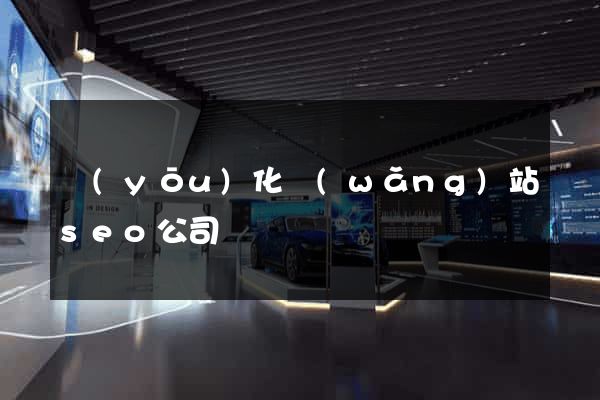 優(yōu)化網(wǎng)站seo公司