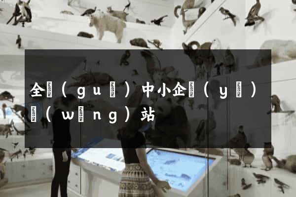 全國(guó)中小企業(yè)網(wǎng)站