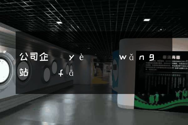 公司企業(yè)網(wǎng)站開發(fā)