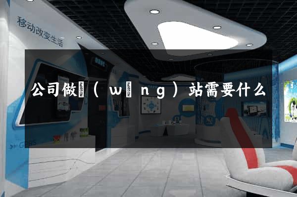 公司做網(wǎng)站需要什么