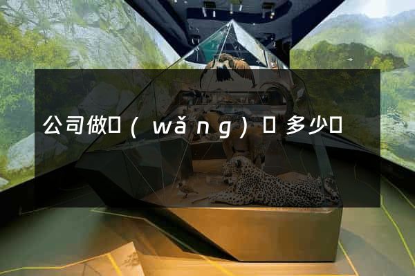 公司做網(wǎng)頁多少錢