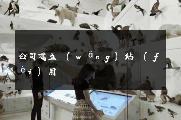 公司建立網(wǎng)站費(fèi)用