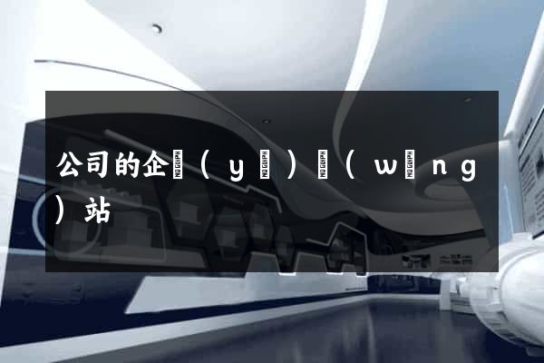 公司的企業(yè)網(wǎng)站