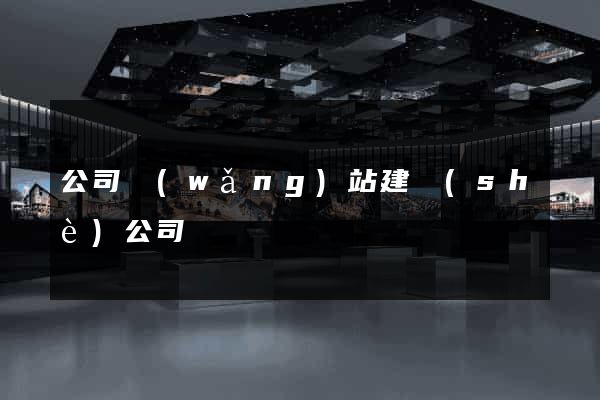 公司網(wǎng)站建設(shè)公司