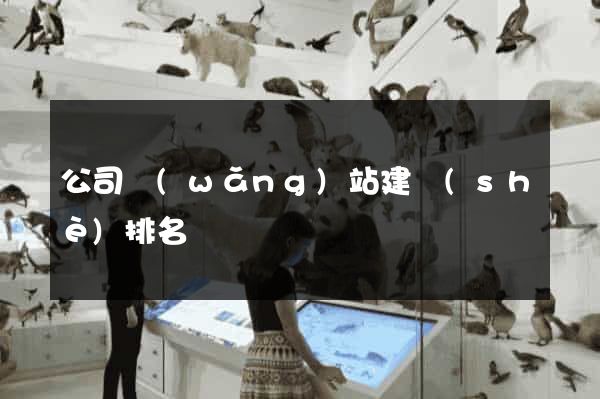 公司網(wǎng)站建設(shè)排名