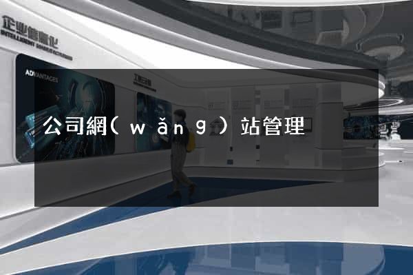 公司網(wǎng)站管理