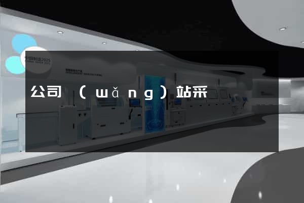 公司網(wǎng)站采購