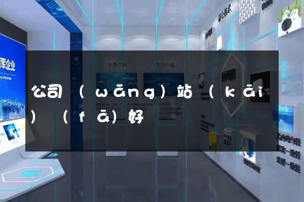 公司網(wǎng)站開(kāi)發(fā)好