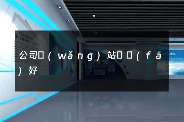 公司網(wǎng)站開發(fā)好