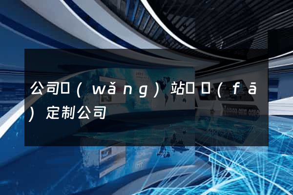 公司網(wǎng)站開發(fā)定制公司