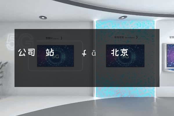 公司網站開發(fā)北京
