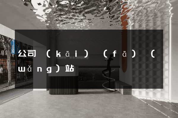 公司開(kāi)發(fā)網(wǎng)站