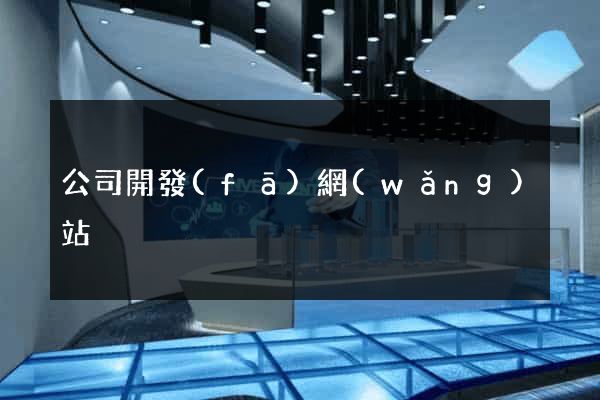 公司開發(fā)網(wǎng)站