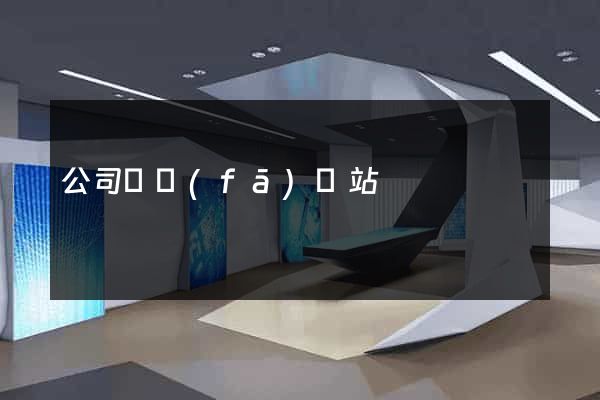 公司開發(fā)網站