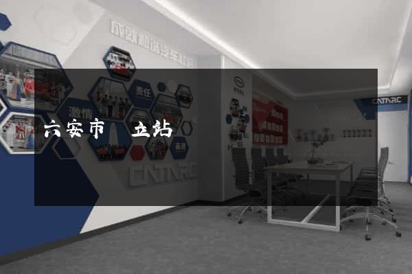 六安市獨立站運營