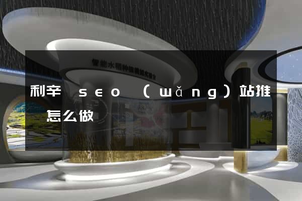 利辛縣seo網(wǎng)站推廣怎么做