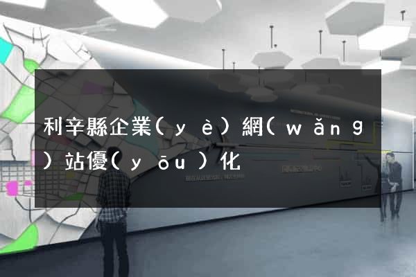 利辛縣企業(yè)網(wǎng)站優(yōu)化