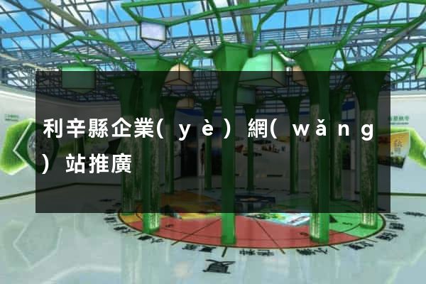 利辛縣企業(yè)網(wǎng)站推廣
