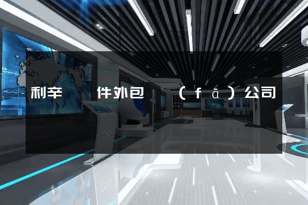利辛縣軟件外包開發(fā)公司