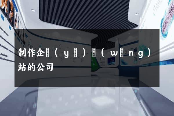 制作企業(yè)網(wǎng)站的公司