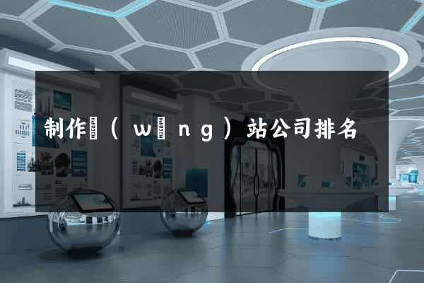制作網(wǎng)站公司排名