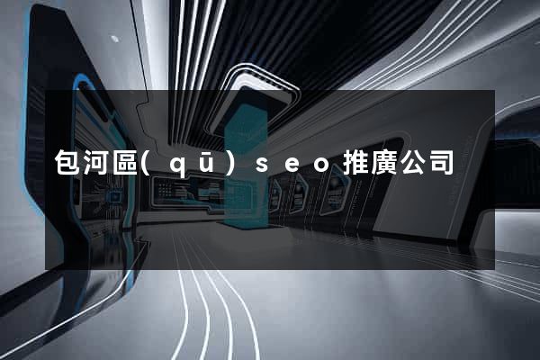 包河區(qū)seo推廣公司