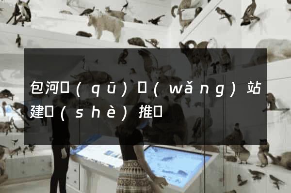包河區(qū)網(wǎng)站建設(shè)推廣