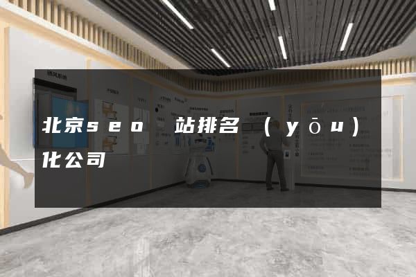 北京seo網站排名優(yōu)化公司