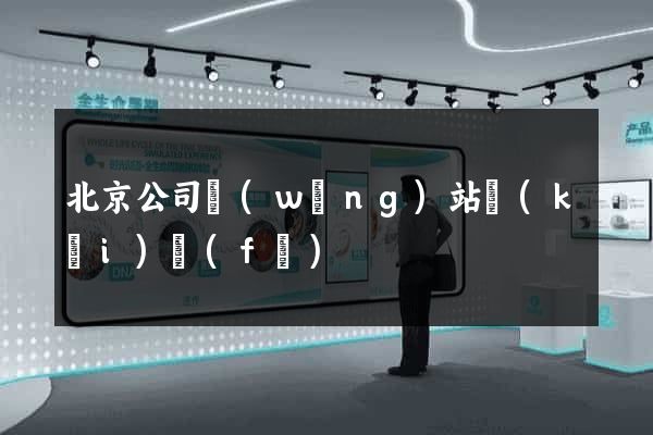 北京公司網(wǎng)站開(kāi)發(fā)