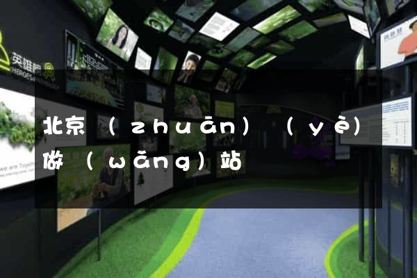 北京專(zhuān)業(yè)做網(wǎng)站