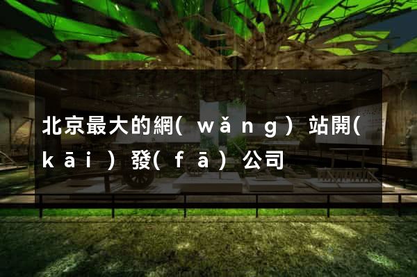 北京最大的網(wǎng)站開(kāi)發(fā)公司