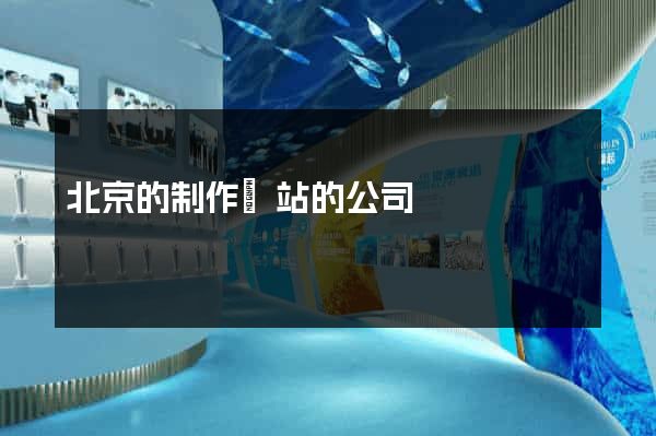 北京的制作網站的公司