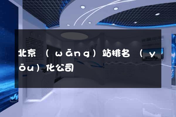 北京網(wǎng)站排名優(yōu)化公司