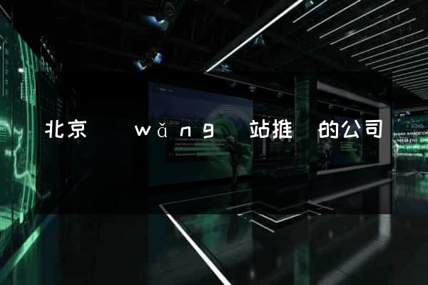 北京網(wǎng)站推廣的公司