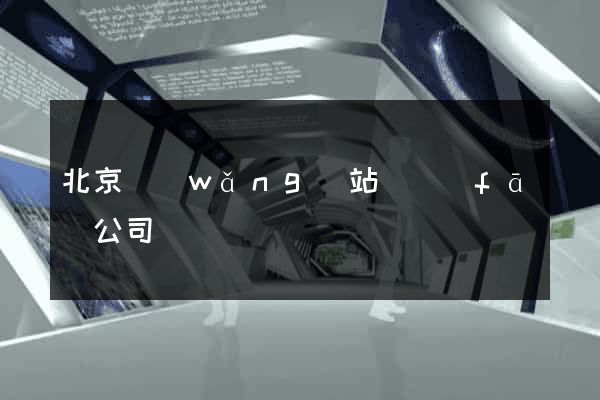 北京網(wǎng)站開發(fā)公司