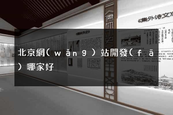 北京網(wǎng)站開發(fā)哪家好