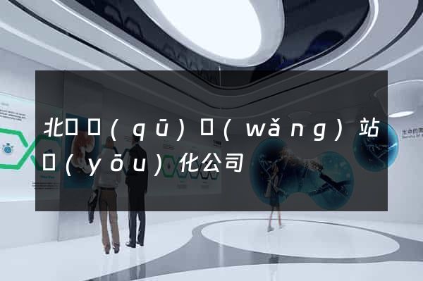 北侖區(qū)網(wǎng)站優(yōu)化公司