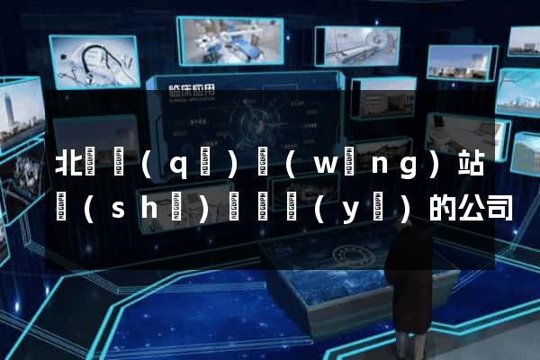 北侖區(qū)網(wǎng)站設(shè)計專業(yè)的公司